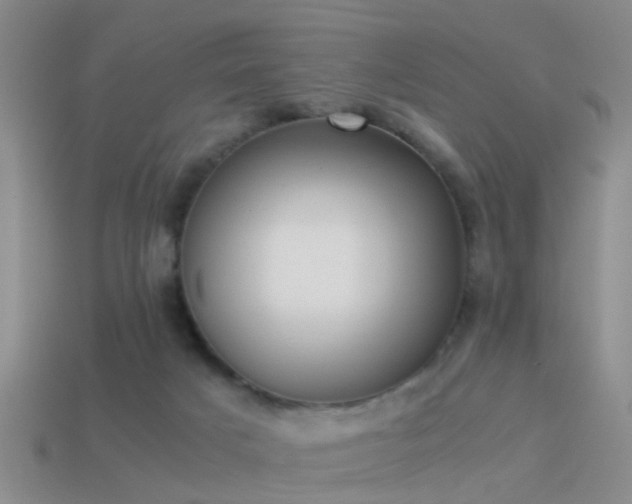 X0000114150025200910151554