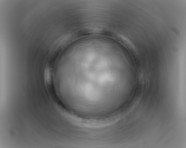 X0000114150026200910151554