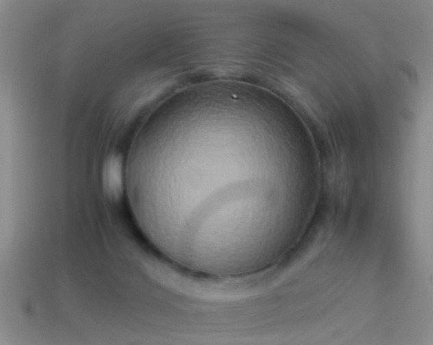 X0000114150028200910151554