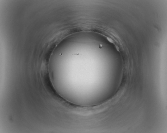 X0000114150029200910151554