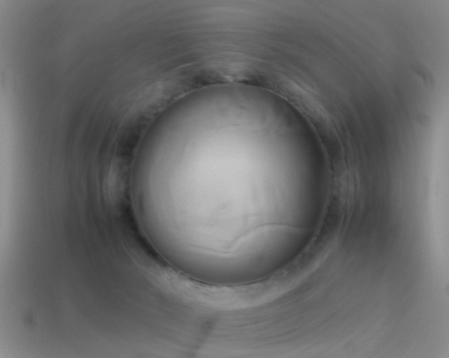 X0000114150030200910151554