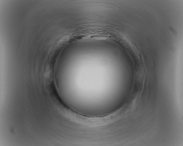 X0000114150031200910151554