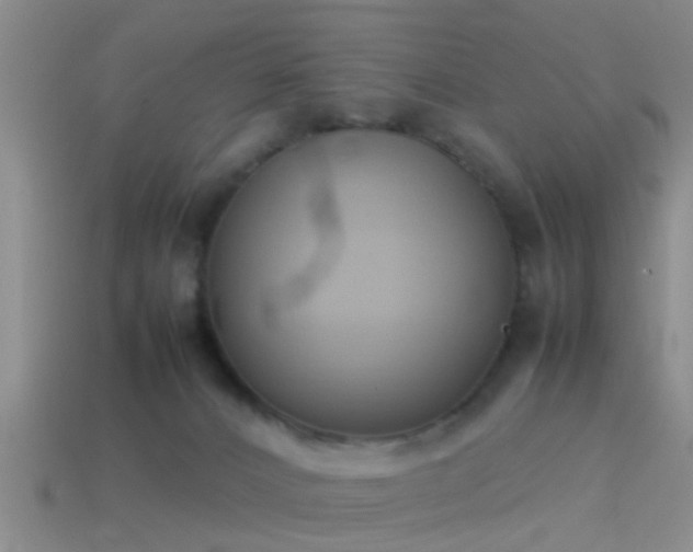 X0000114150032200910151554