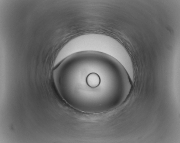 X0000114150033200910151554