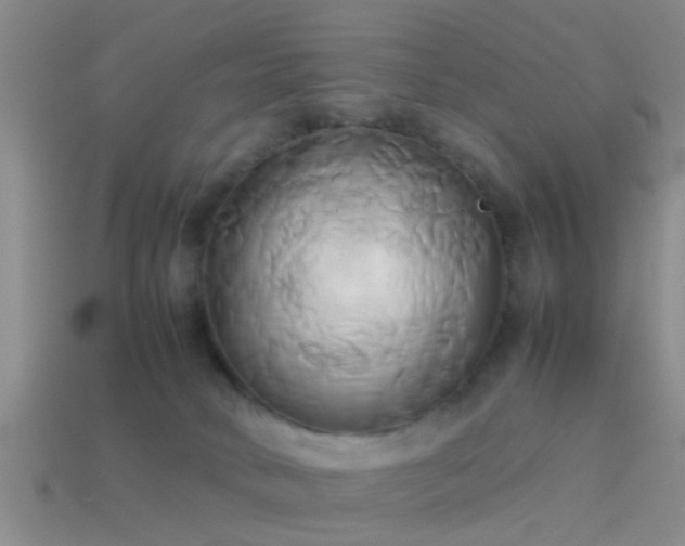 X0000114150034200910151554