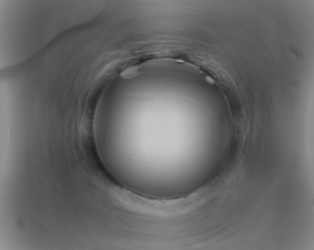 X0000114150035200910151554