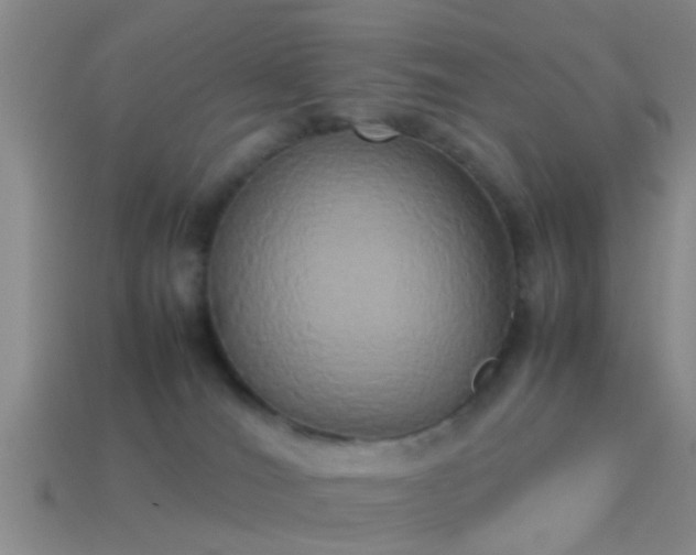 X0000114150036200910151554