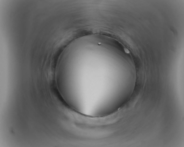 X0000114150039200910151554