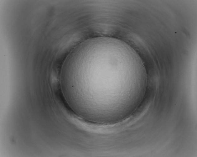 X0000114150040200910151554