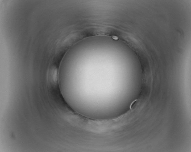 X0000114150041200910151554