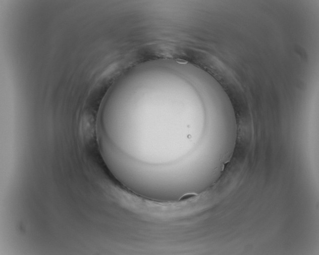 X0000114150043200910151554