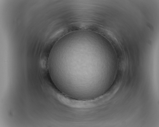 X0000114150044200910151554