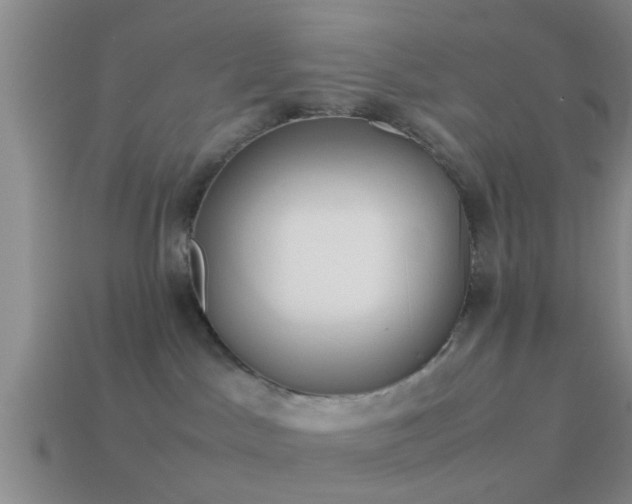 X0000114150045200910151554