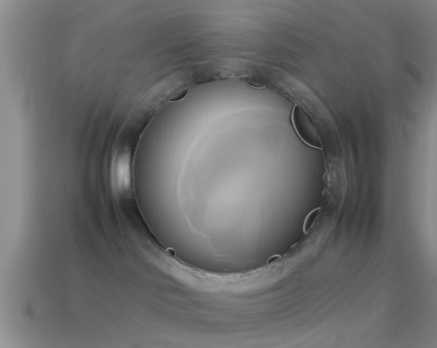 X0000114150046200910151554