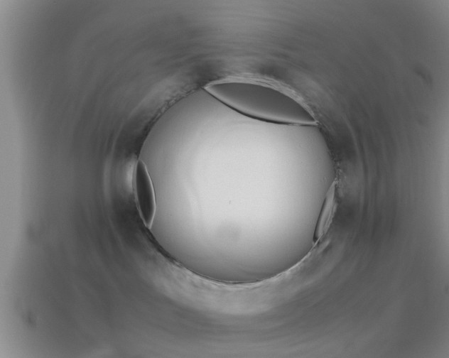 X0000114150047200910151554