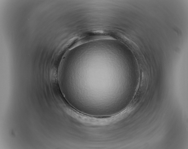 X0000114150048200910151554