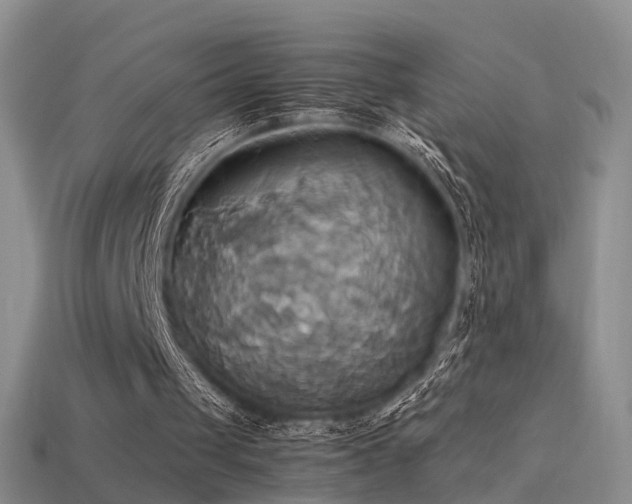 X0000114150049200910151553