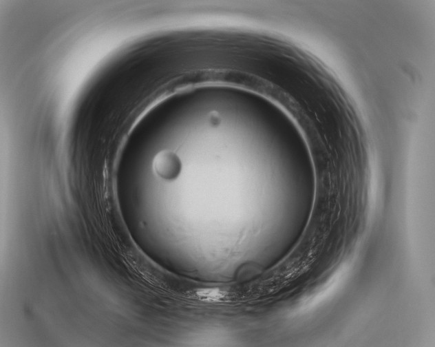 X0000114150050200910151553