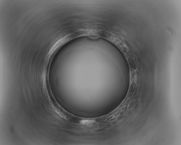 X0000114150051200910151553