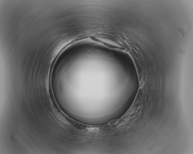 X0000114150052200910151553