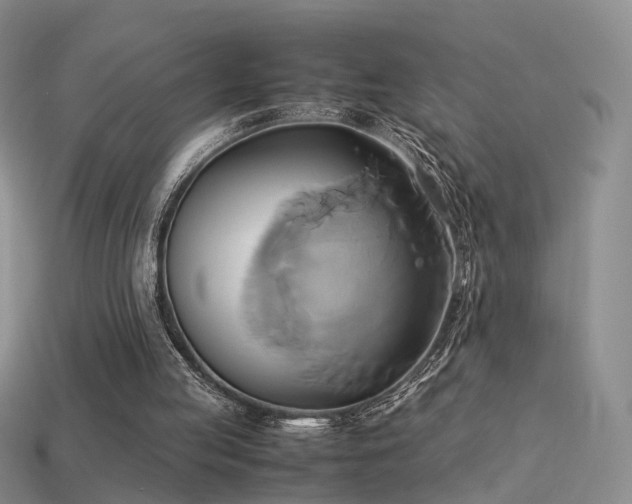 X0000114150053200910151553