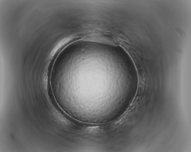 X0000114150054200910151553