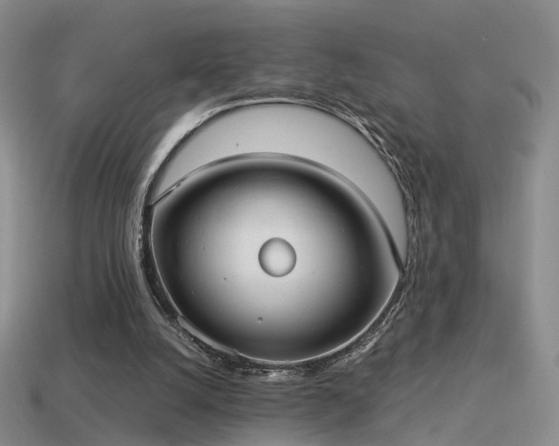 X0000114150056200910151553