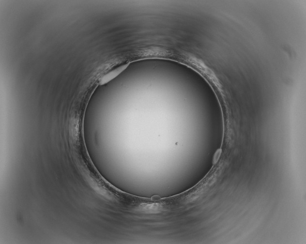 X0000114150057200910151553