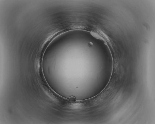 X0000114150059200910151553