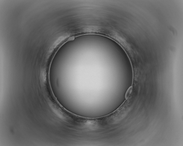 X0000114150060200910151553