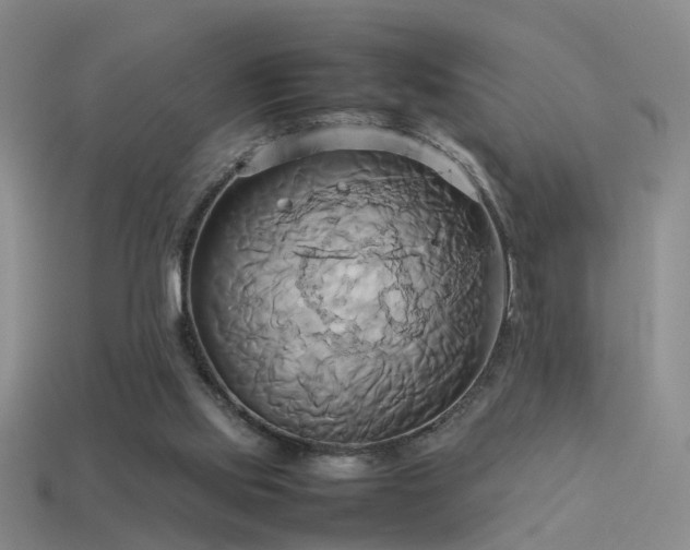 X0000114150061200910151553