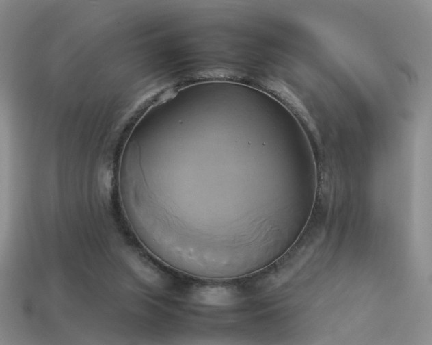 X0000114150063200910151553