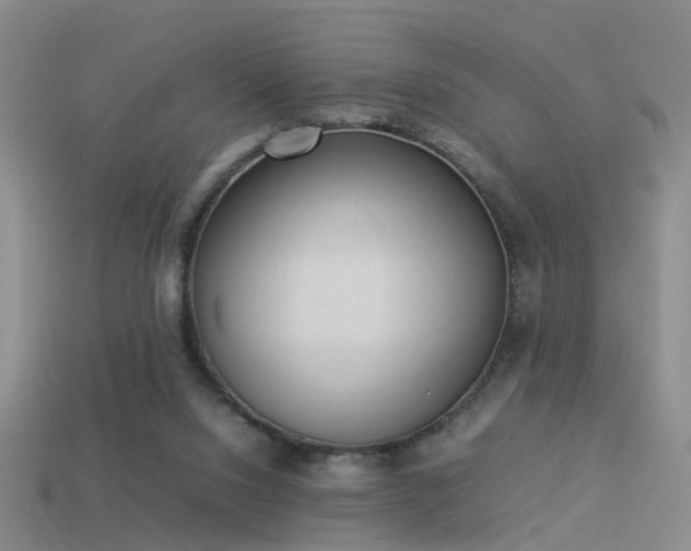 X0000114150064200910151553