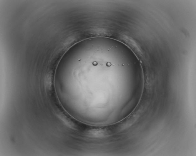 X0000114150065200910151553