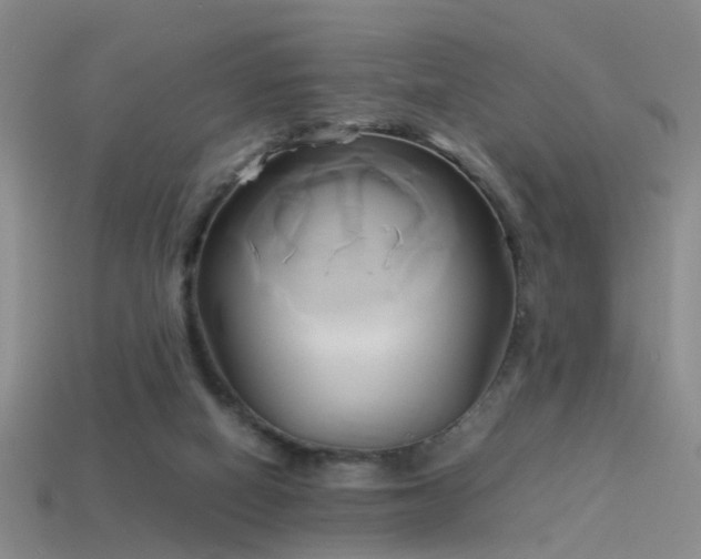 X0000114150066200910151553