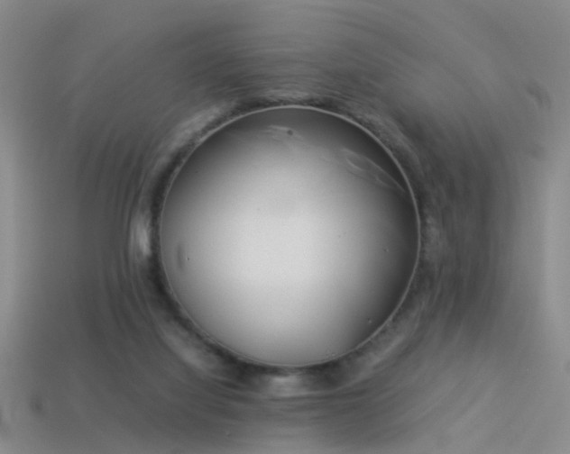 X0000114150068200910151553