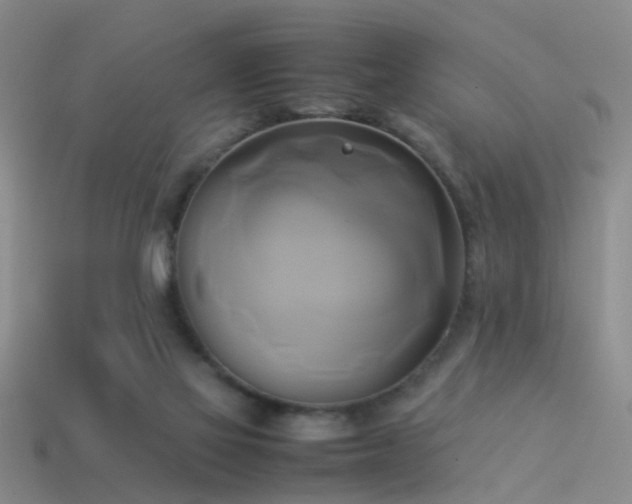 X0000114150069200910151553