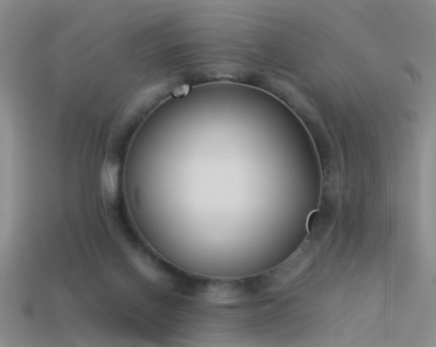 X0000114150070200910151553