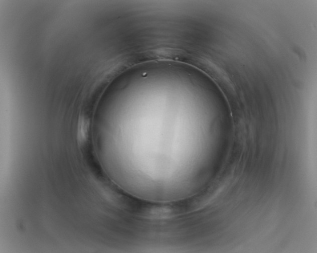 X0000114150075200910151553