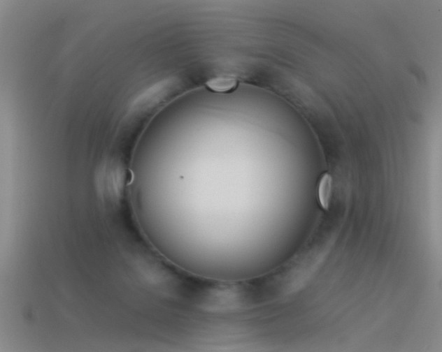 X0000114150076200910151554