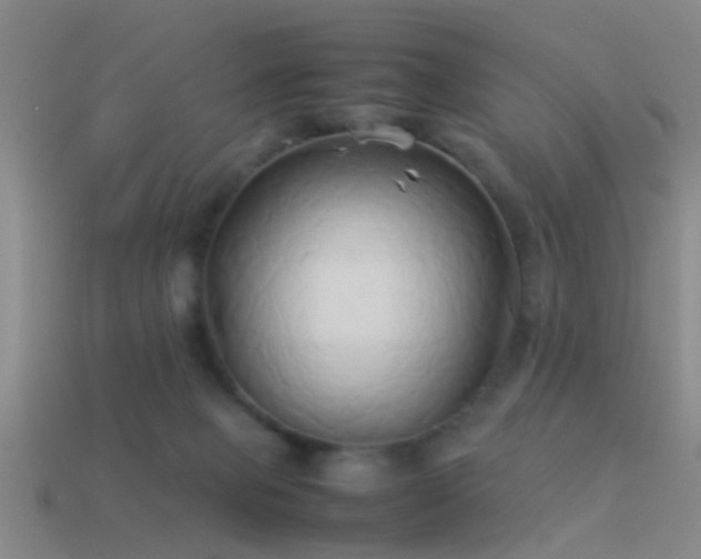 X0000114150077200910151554