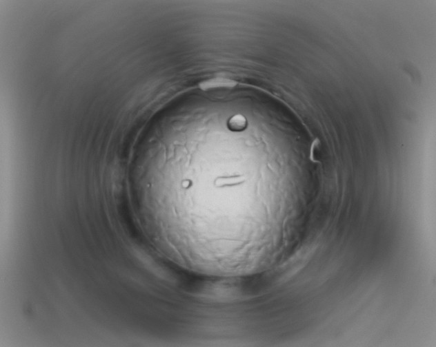 X0000114150078200910151554