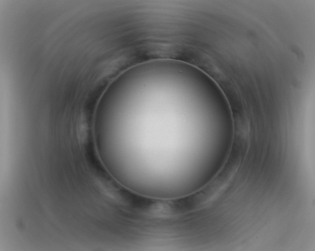 X0000114150080200910151554