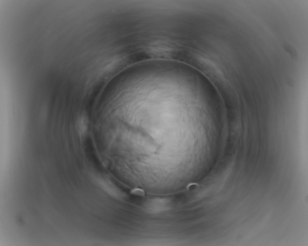 X0000114150081200910151554