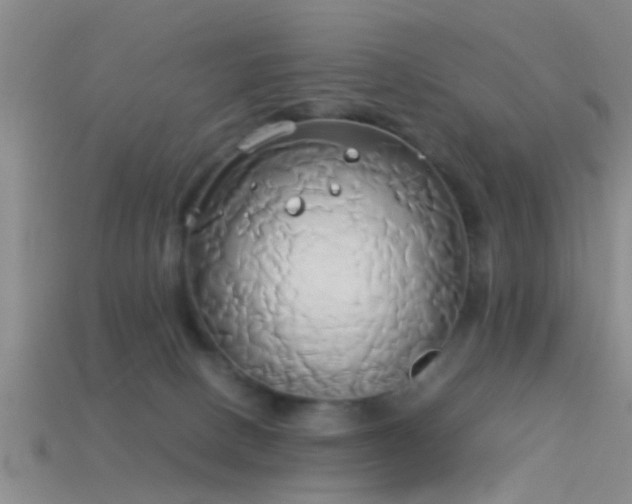 X0000114150082200910151554