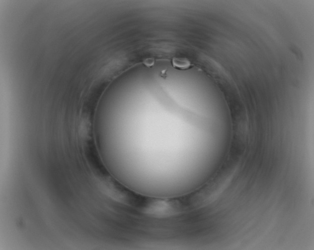 X0000114150083200910151554