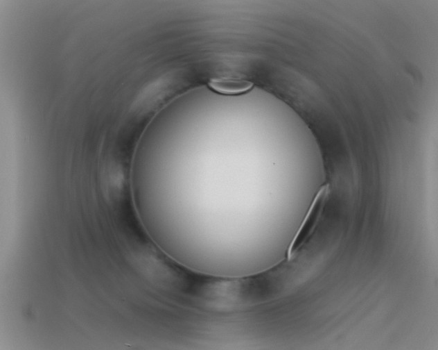 X0000114150084200910151554