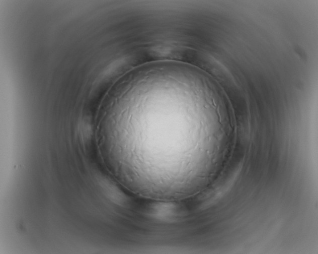 X0000114150085200910151554