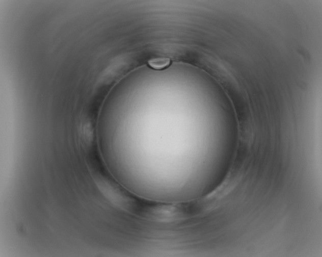 X0000114150086200910151554