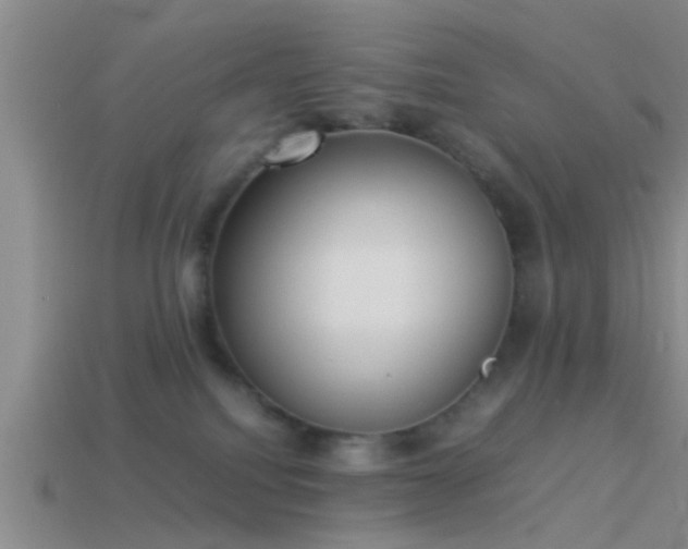 X0000114150088200910151554